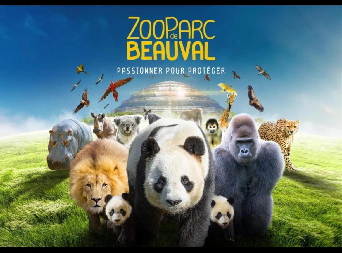 Gite Souai Et Zen , 5 Mn Du Zooparc De Beauval Saint-Aignan  Eksteriør bilde